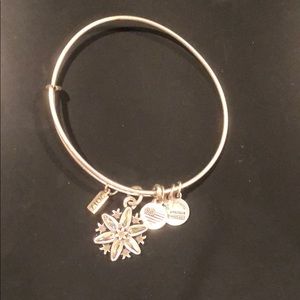 Snowflake Alex and Ani